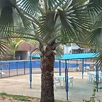 Descansa En Familia En Rio Bonito Lleva Tus Mascotas