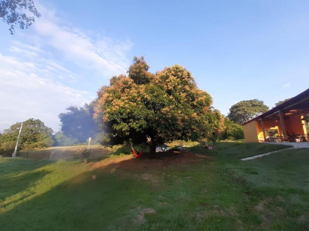 Mangoo Glamping Campo de lujo Melgar