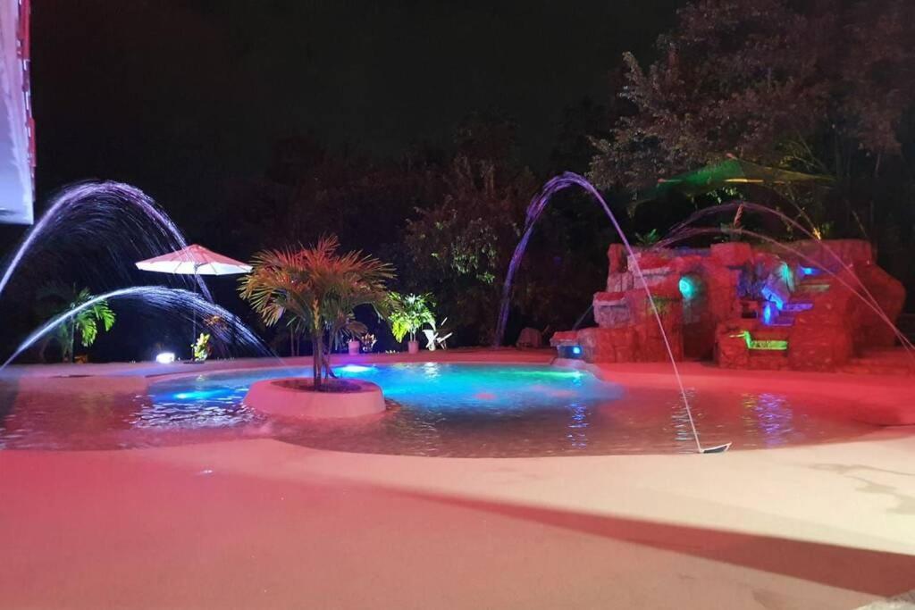 Quinta Shaddai * Melgar