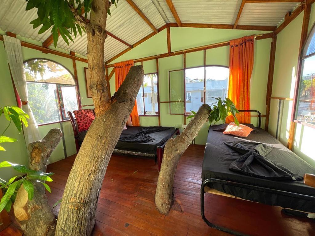 Quinta Privada Jamani Villa