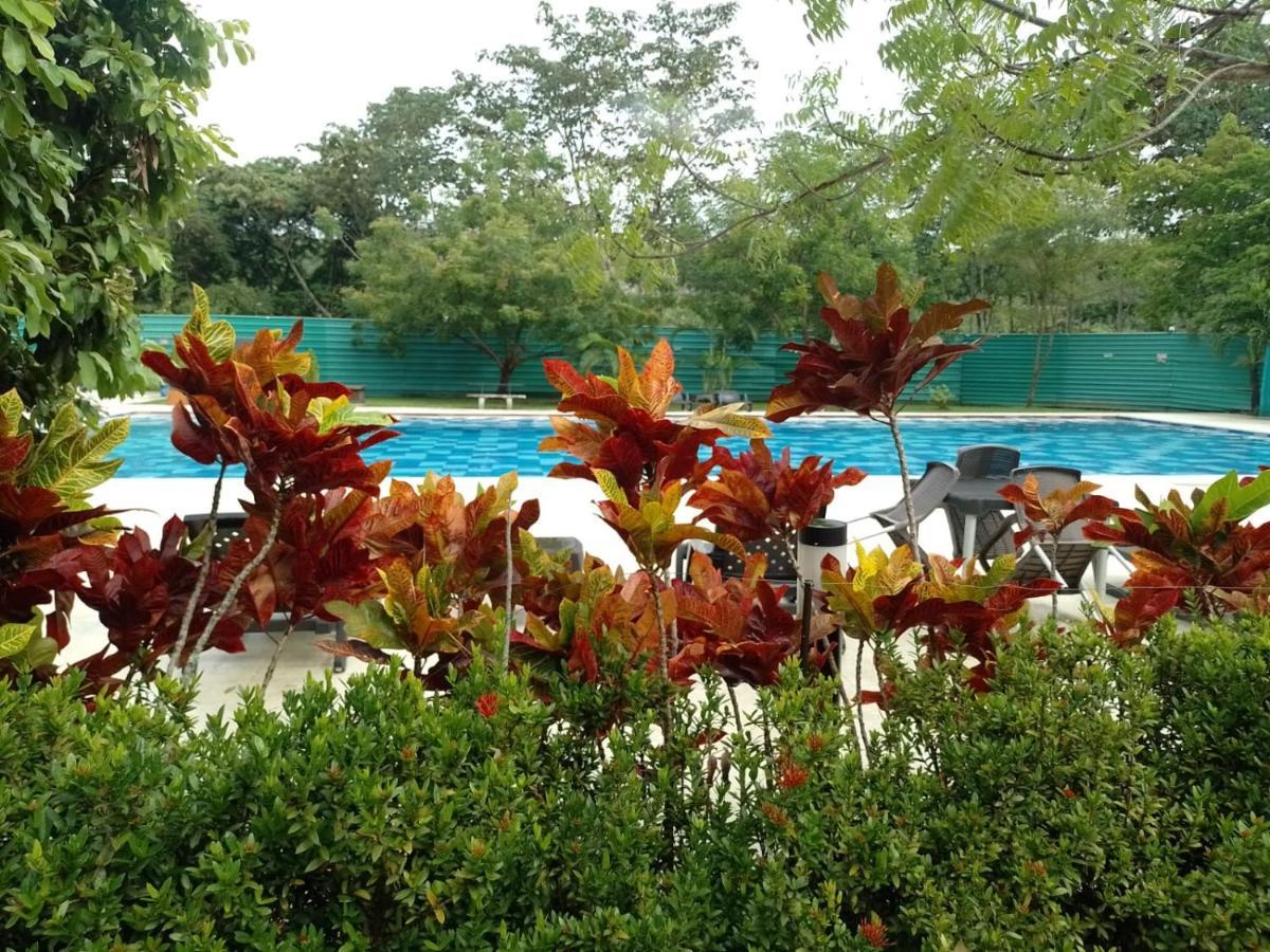 Apartamento - Altagracia *