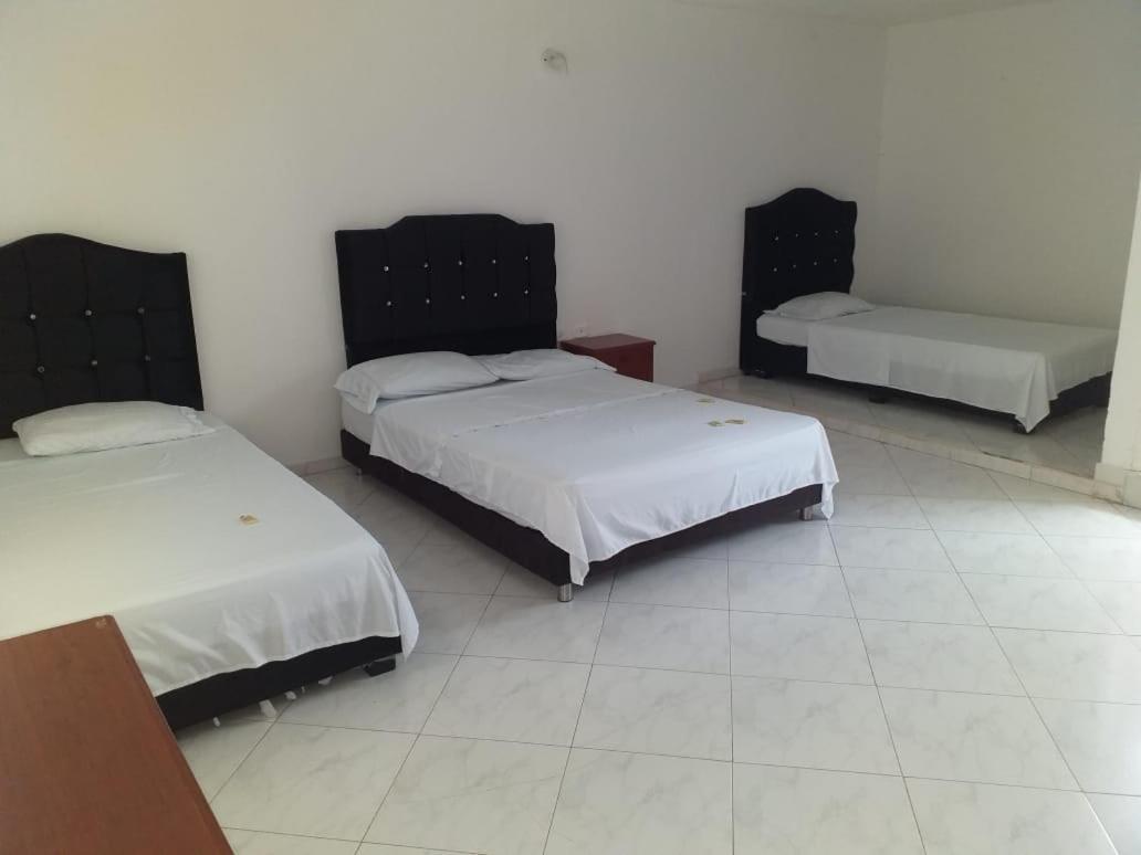 Acuario Hotel