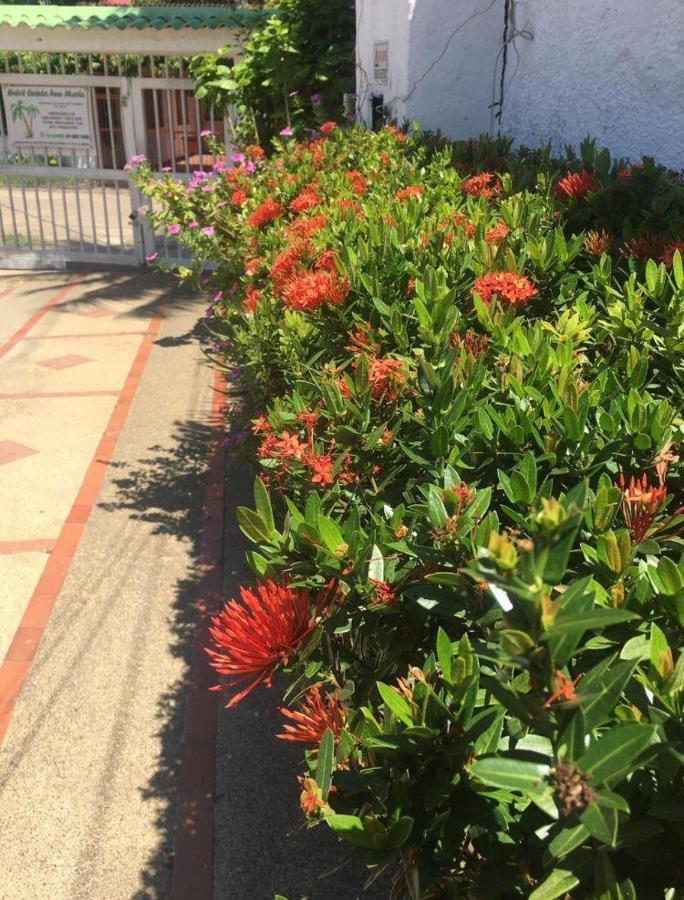 Quinta Ana Maria Hotel 3*