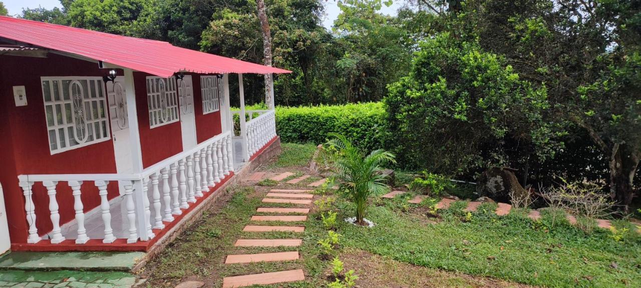 Quinta Sarita Tolima Melgar