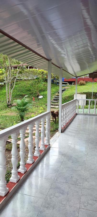Quinta Sarita Tolima *
