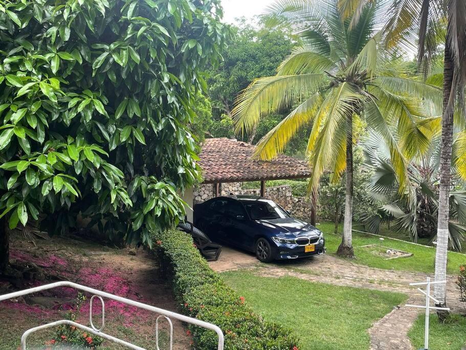 Holiday home Palmeras Casa En *