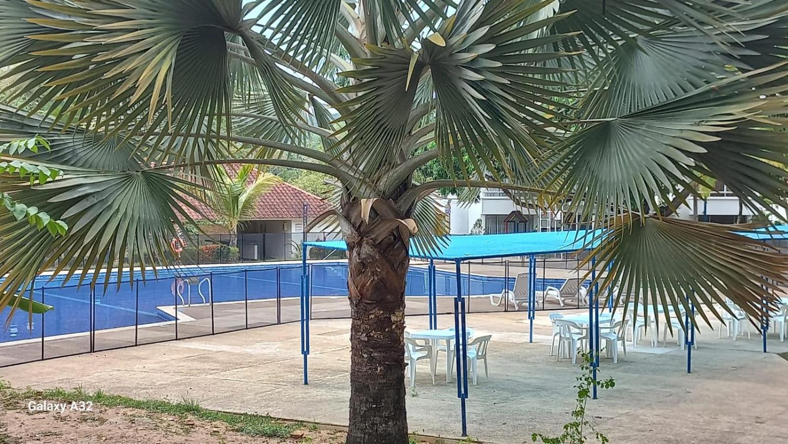 Descansa En Familia En Rio Bonito Lleva Tus Mascotas * Melgar