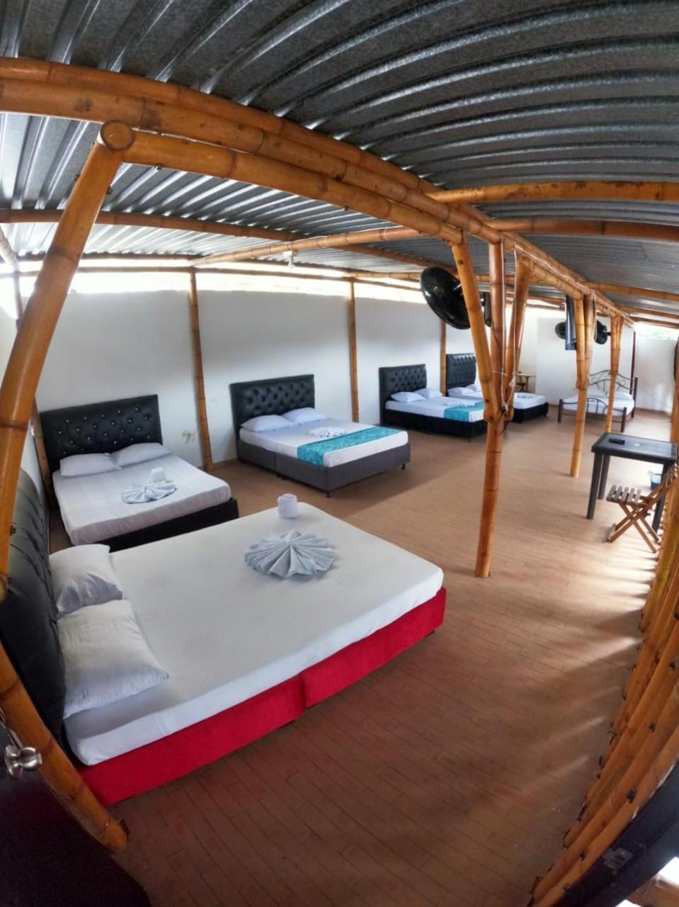 Nuevo Camila 3* Melgar