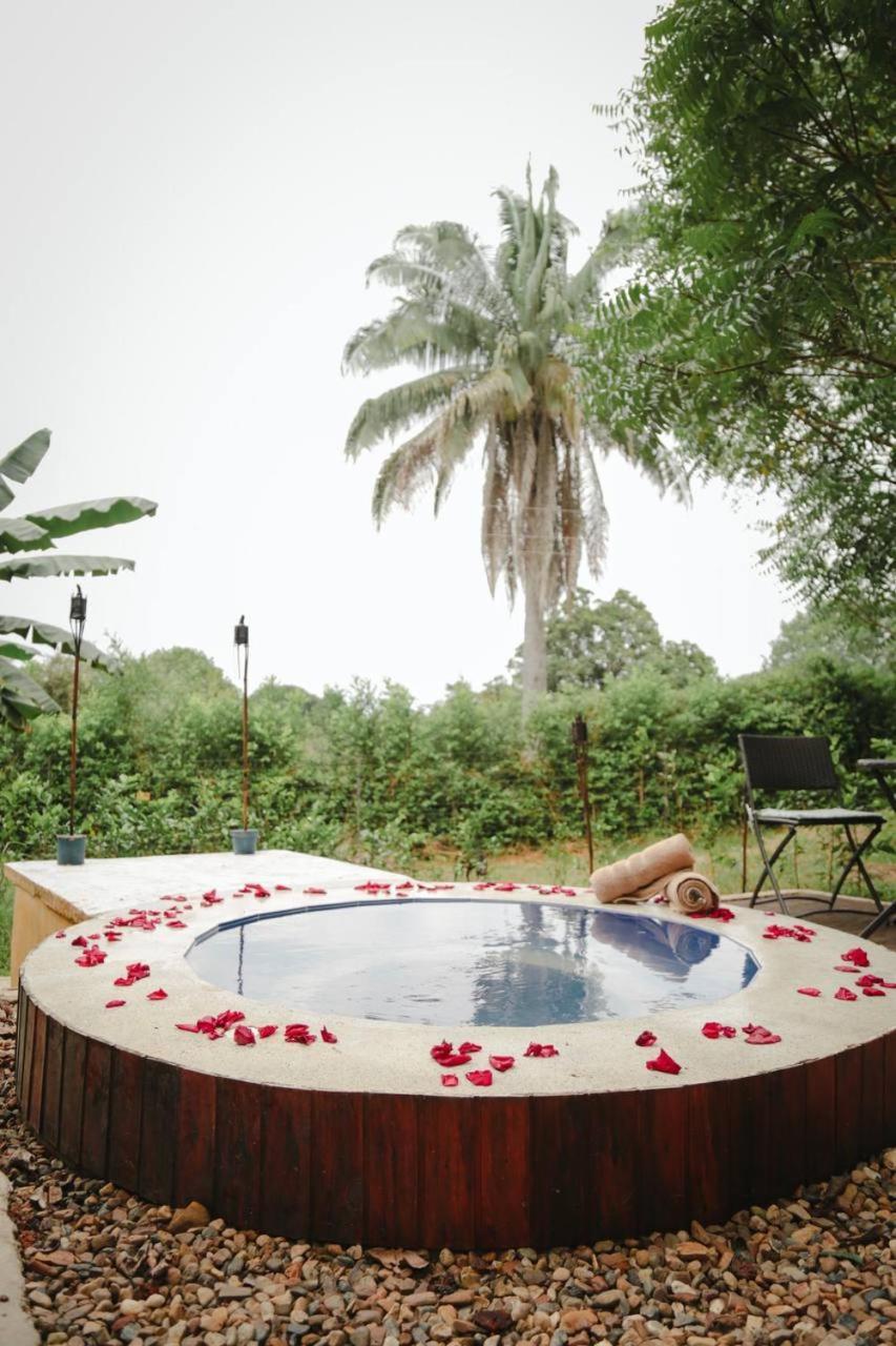 Mangoo Glamping *