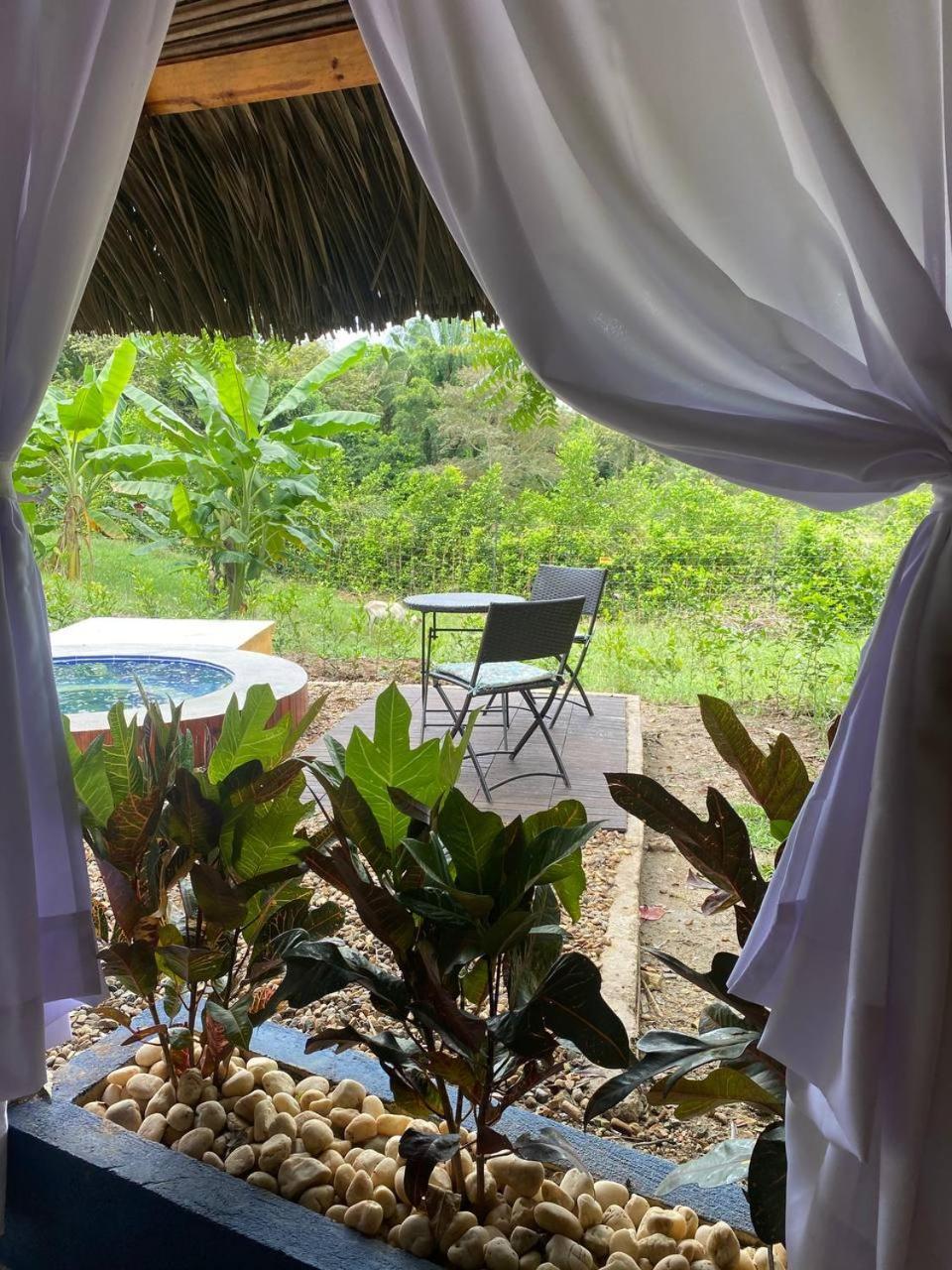 Campo de lujo Mangoo Glamping *