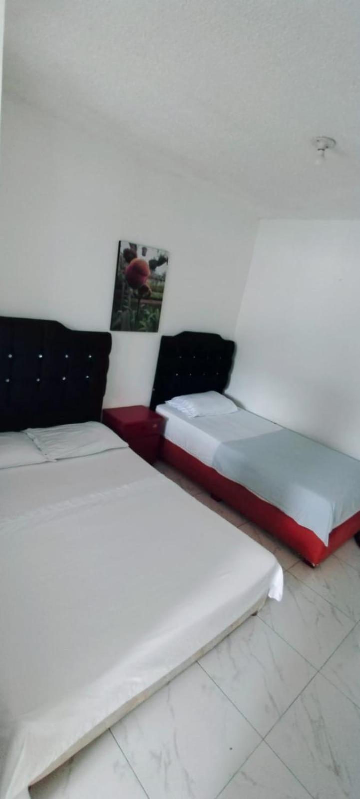 Acuario Hotel Melgar