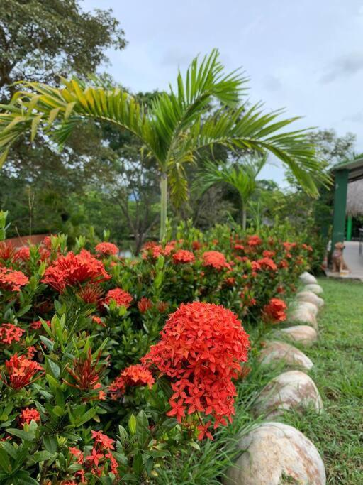 Covenitas Caribe, Con Piscina Tipo Playa, Capacidad Maxima 34 Personas Apartment *