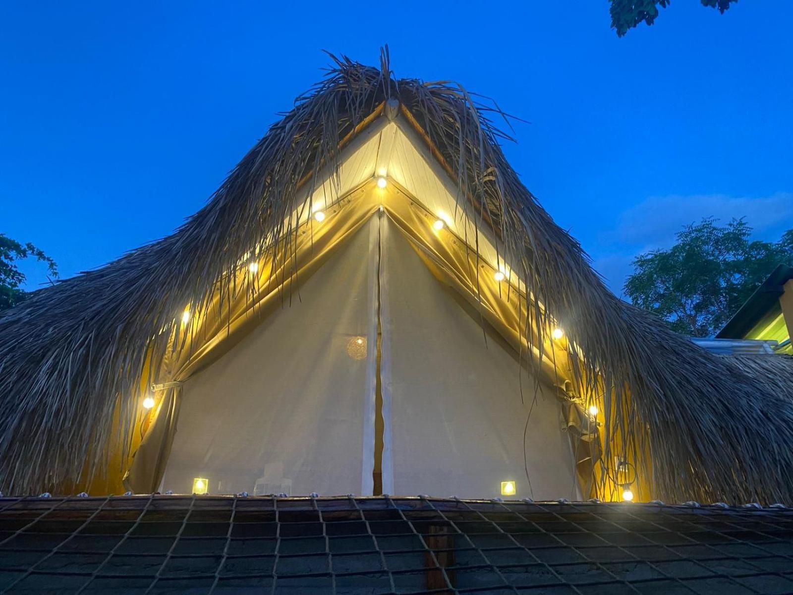 Mangoo Glamping *