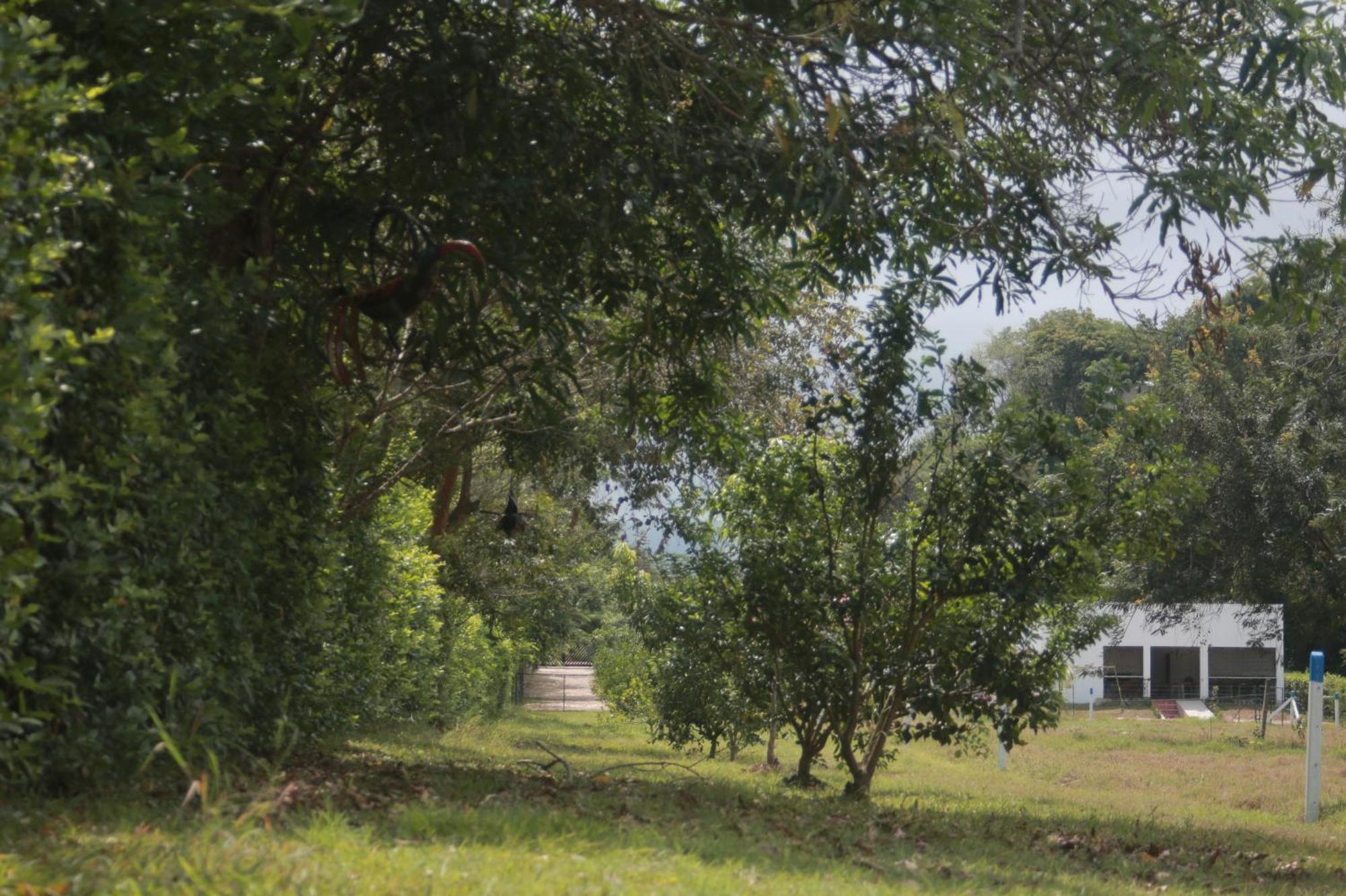 Natural View Apartahotel Melgar
