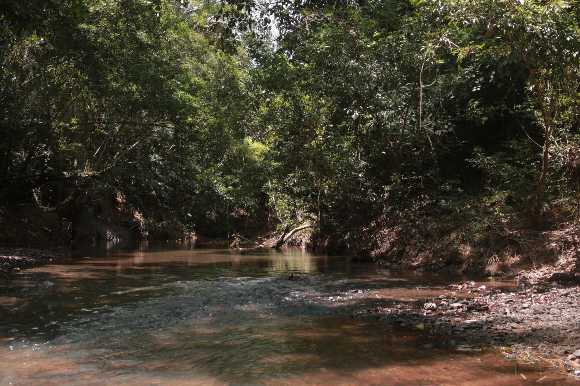 Apartahotel Natural View Melgar