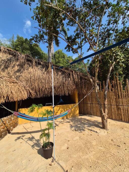 Ecoluxury Yakarta Playa Artificial Minicine Melgar