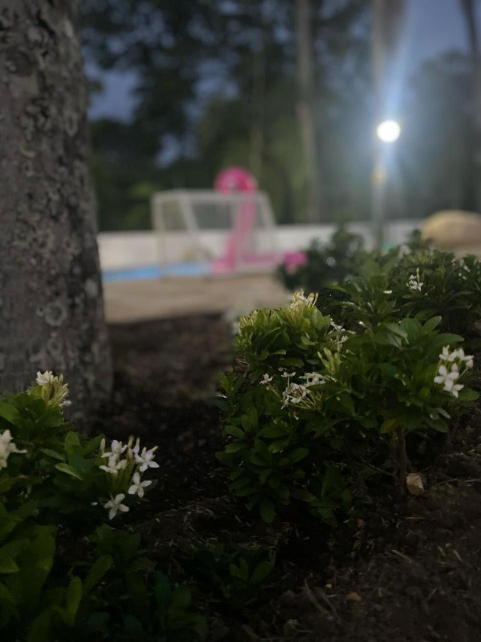 Quinta Delicias En Tolima *