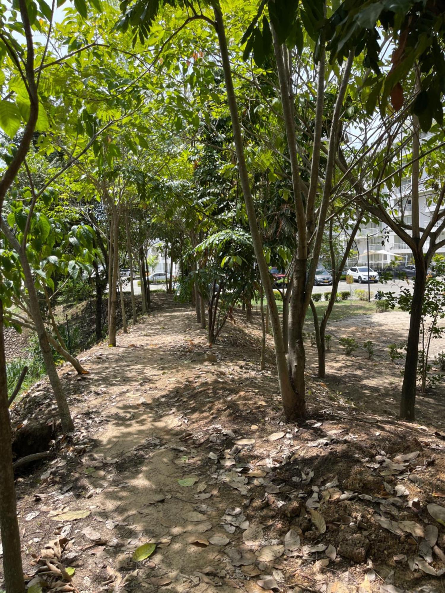 Espectacular En Apartamento Melgar