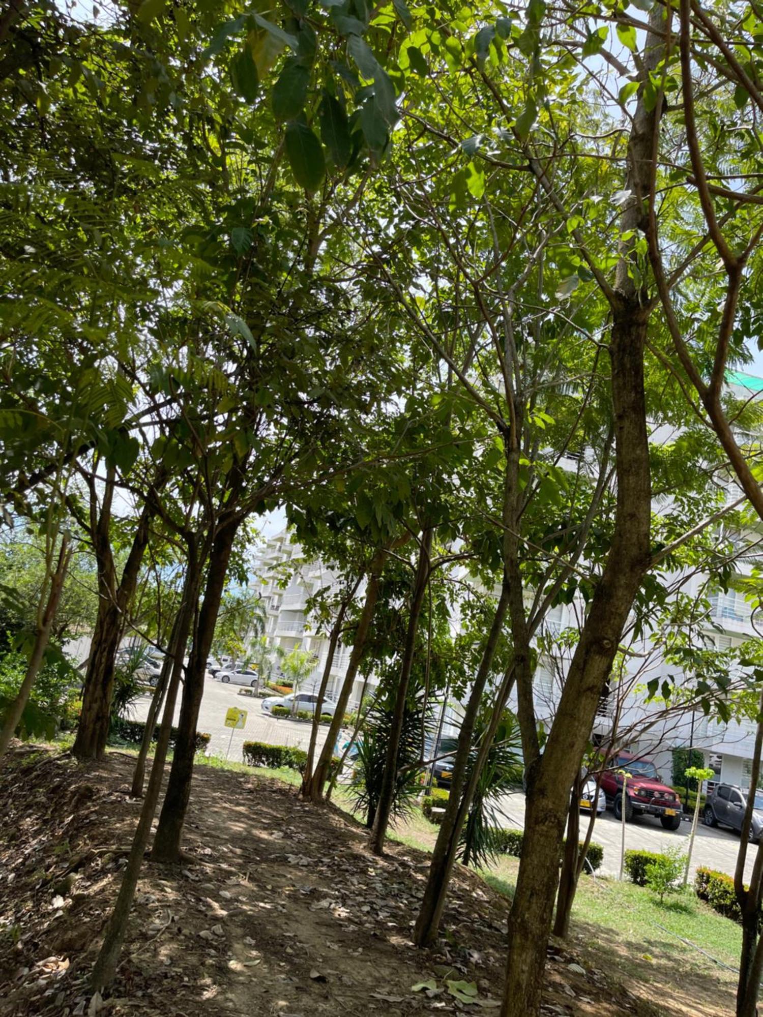 Apartamento Espectacular En