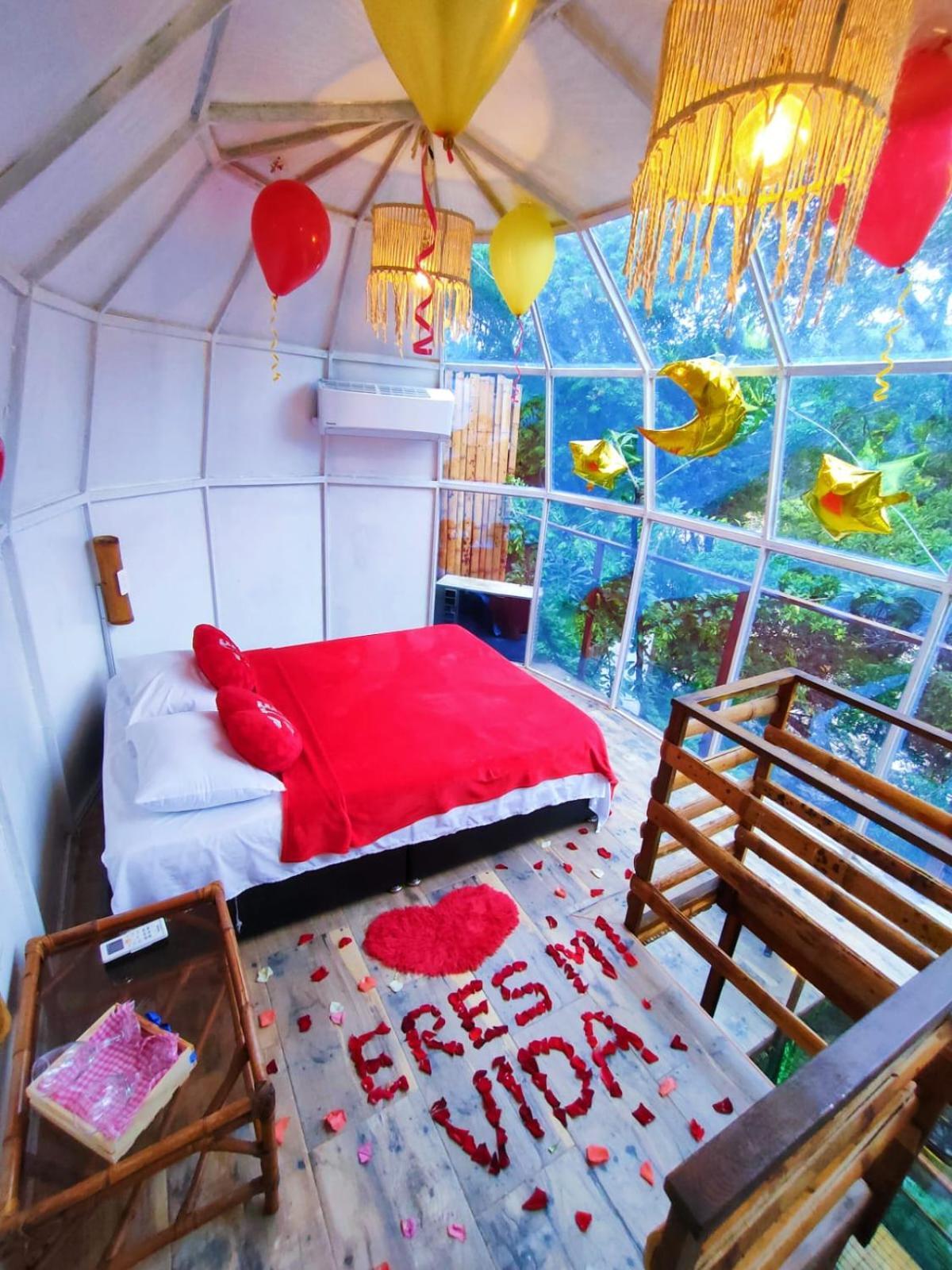 River Glamping Camping *