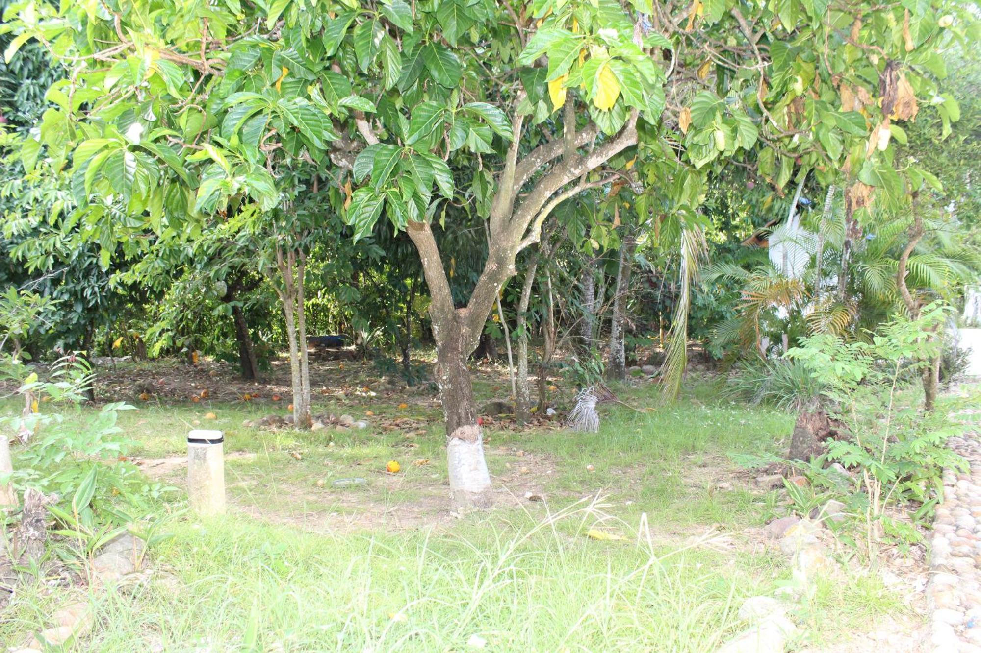 Villa El Refugio Del Colibri -