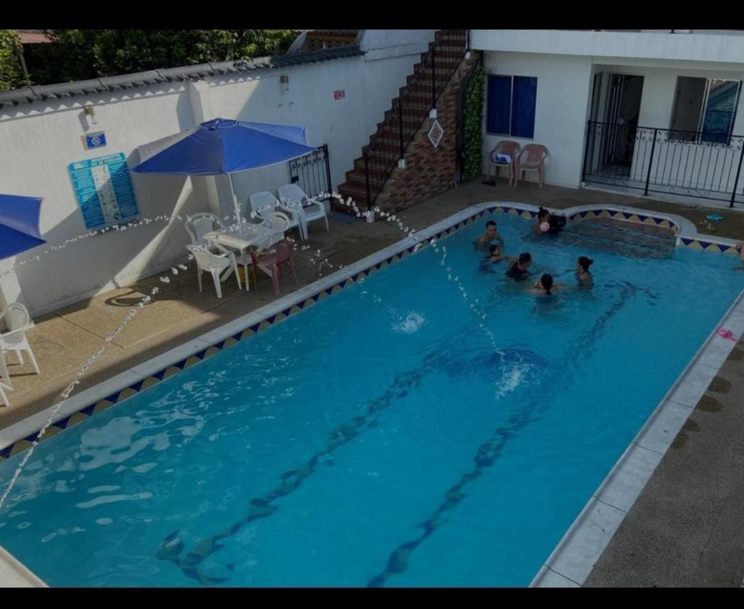 Delfines * Melgar