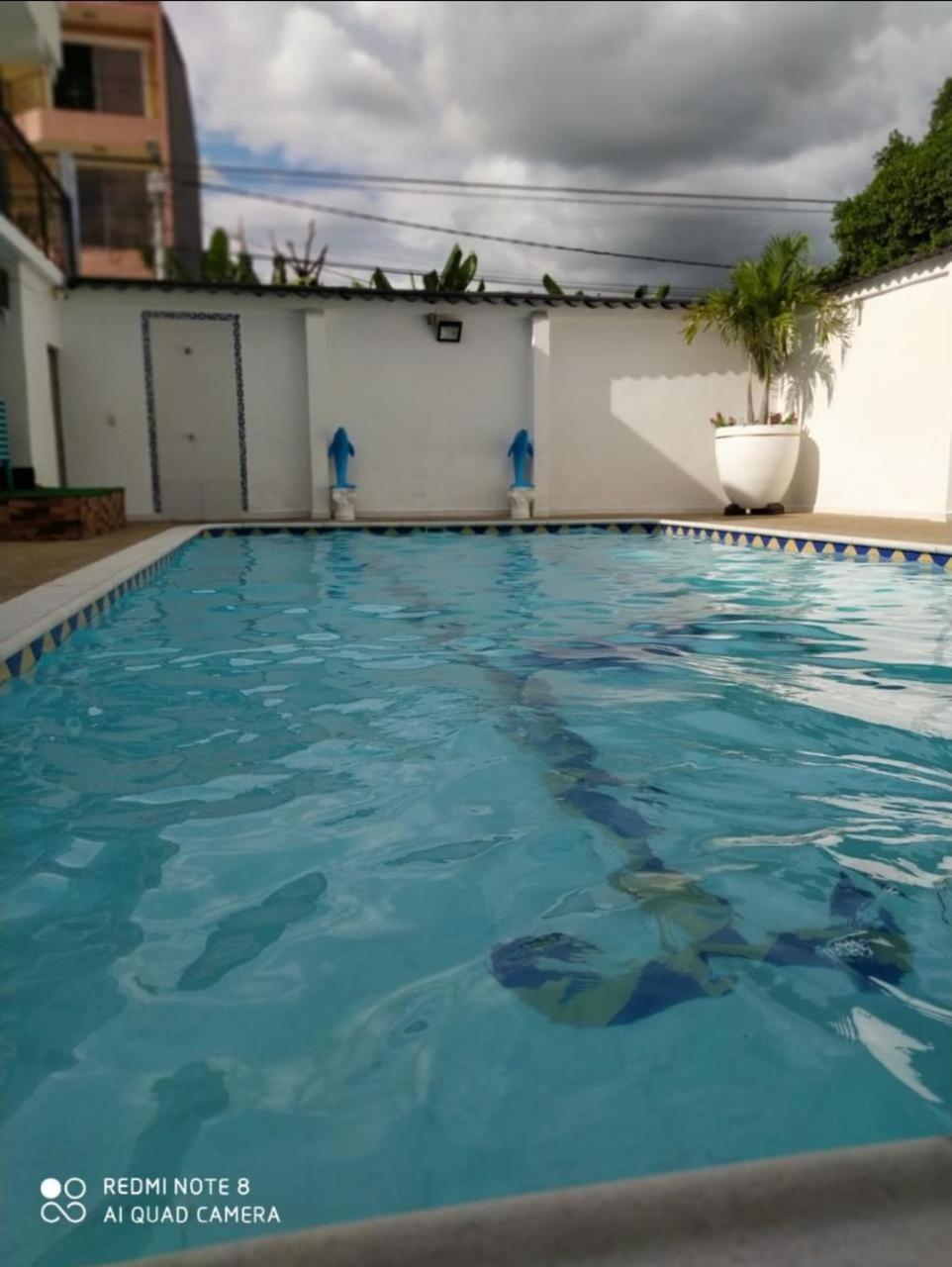 Delfines *