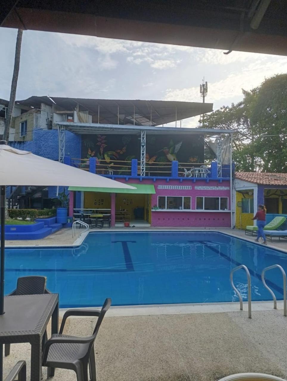 Palma Paraiso Melgar