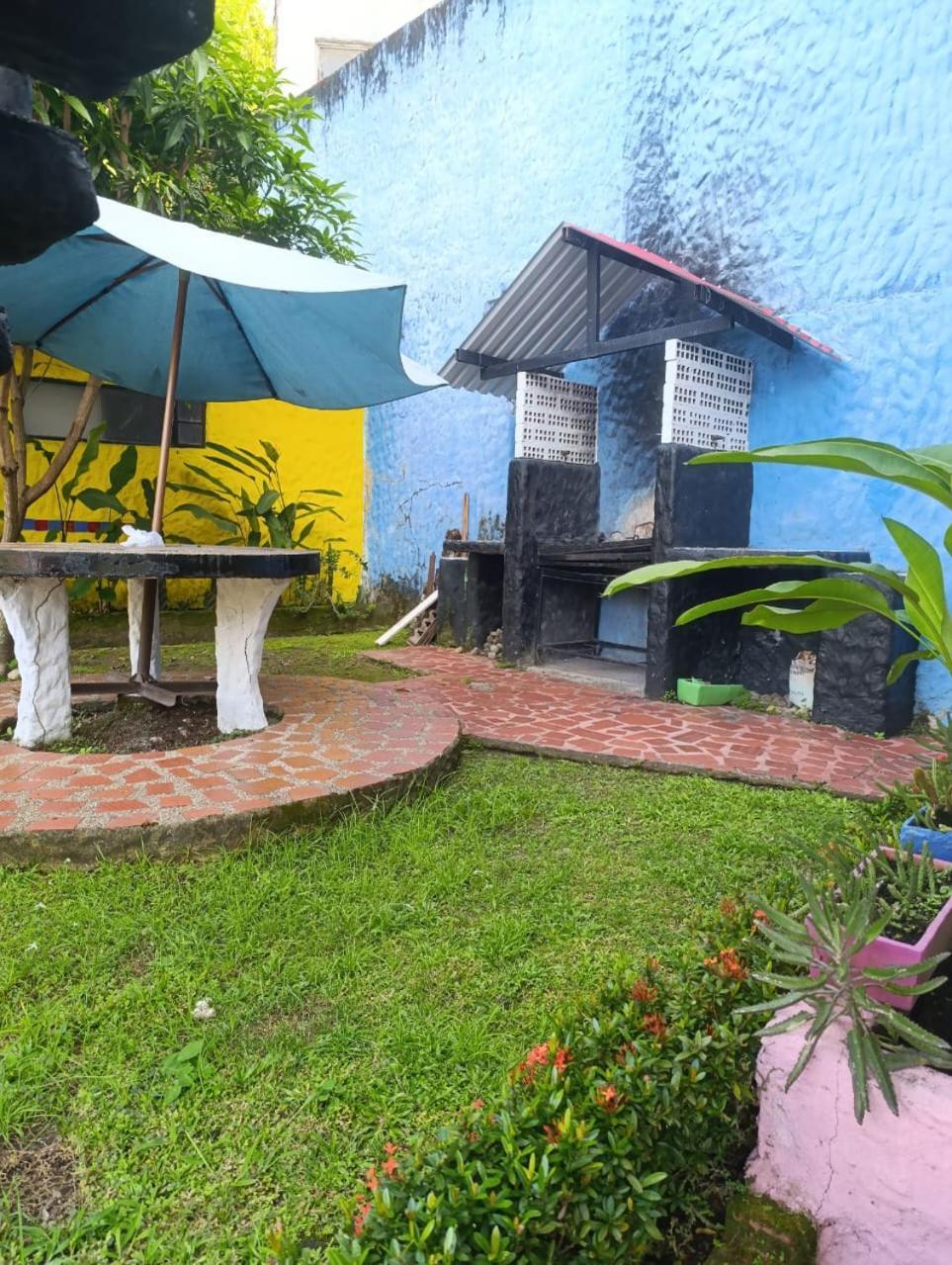 Palma Paraiso Melgar