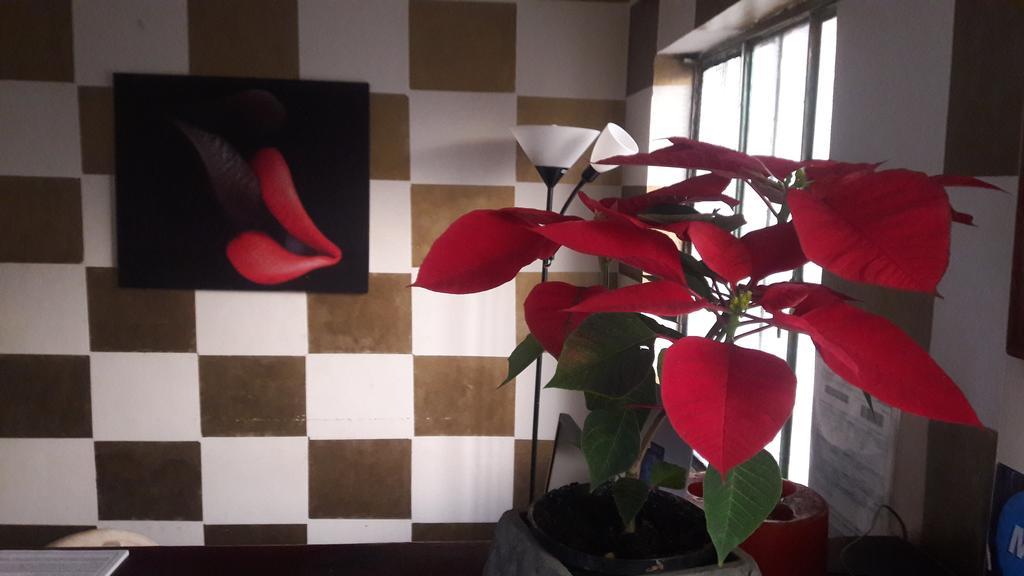 Hotel Joohn Almendros - Gay Only/ Solo Gay *