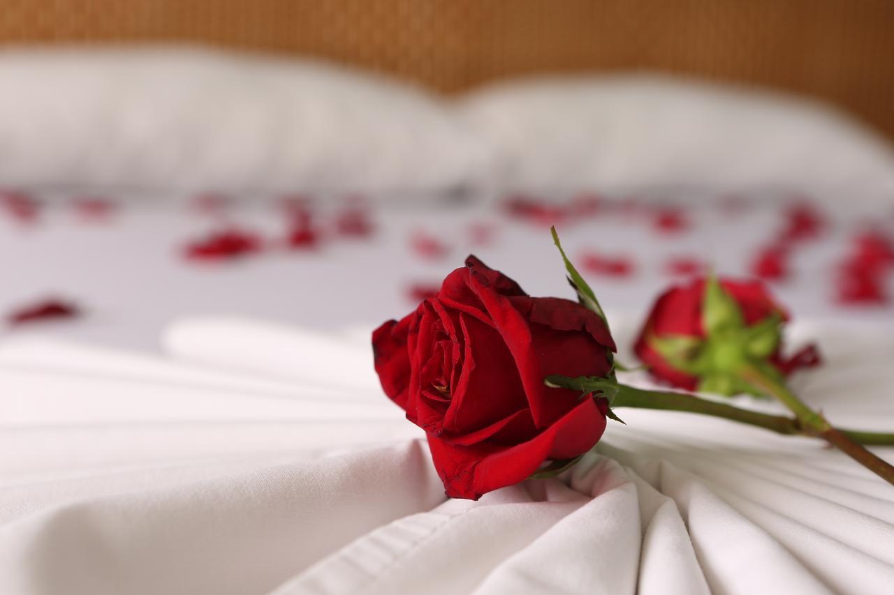 Hotel Anamichu 3*