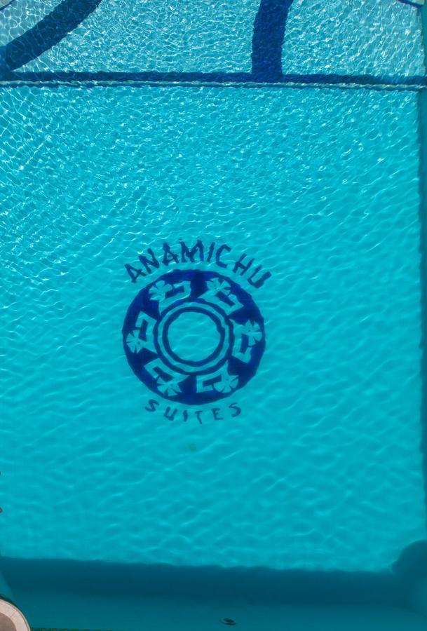 Hotel Anamichu 3*