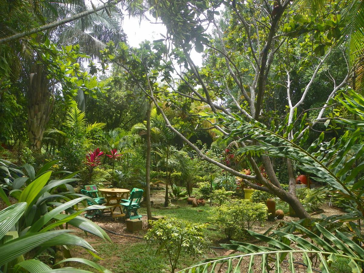 Amanwana Ecofinca 2*