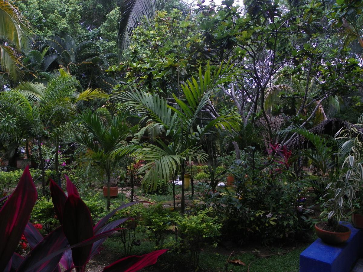 Amanwana Ecofinca Hotel 2*