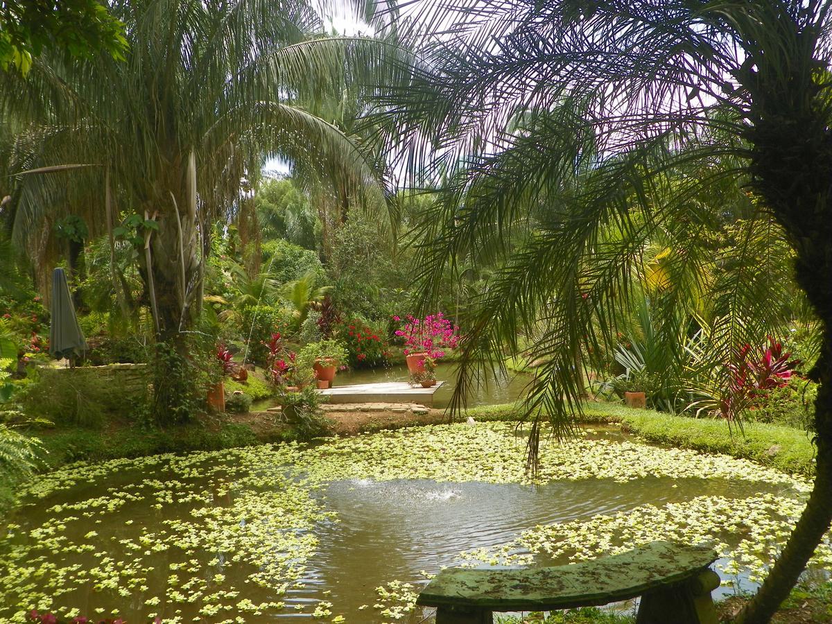Amanwana Ecofinca Hotel Melgar