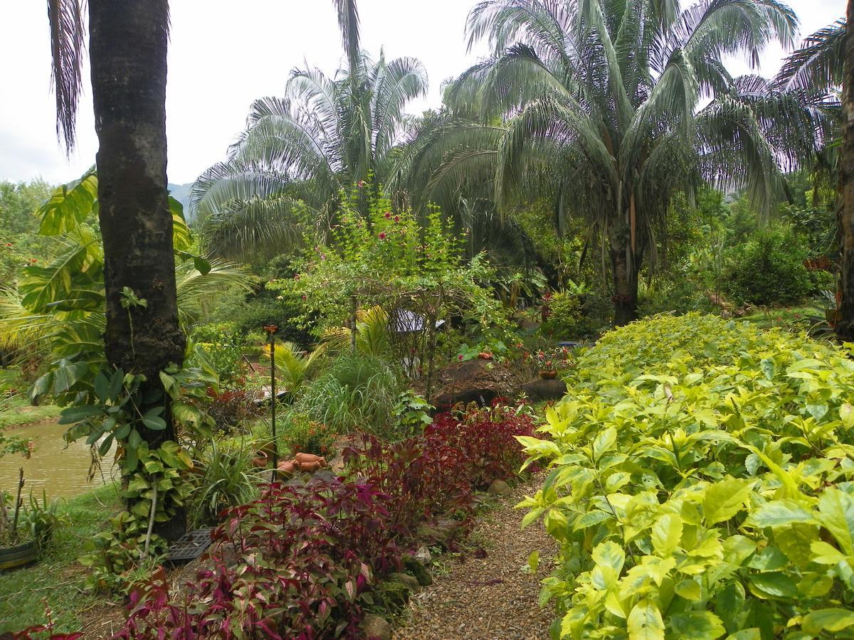 Amanwana Ecofinca Hotel 2*