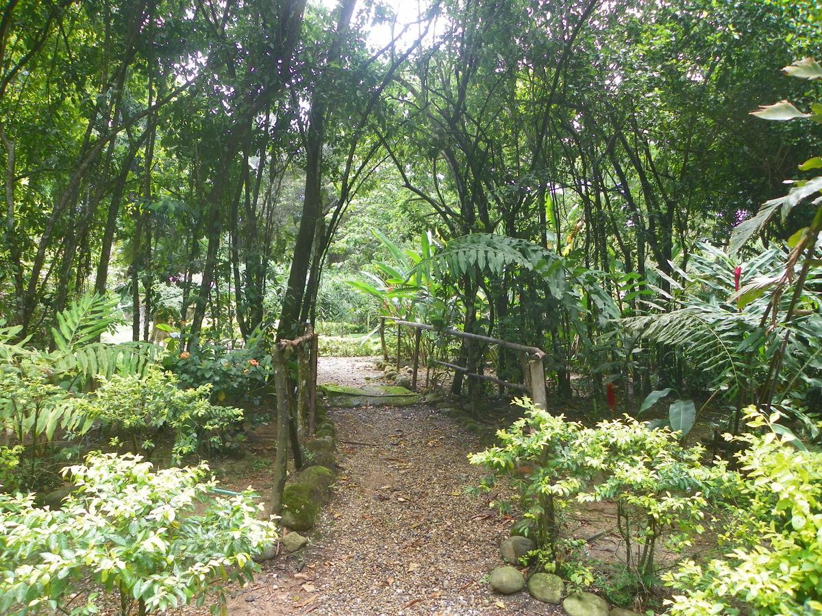 Hotel Amanwana Ecofinca 2*