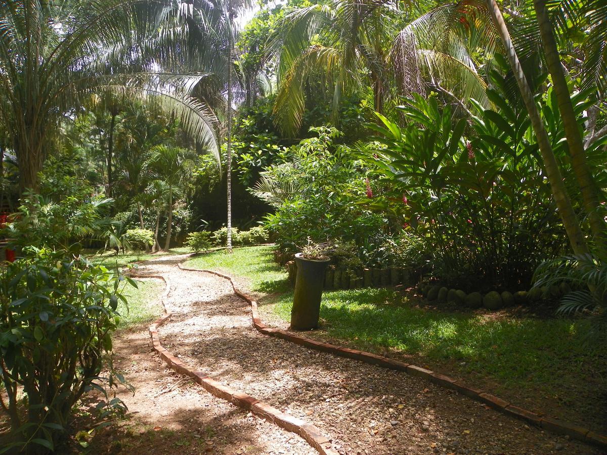 Hotel Amanwana Ecofinca