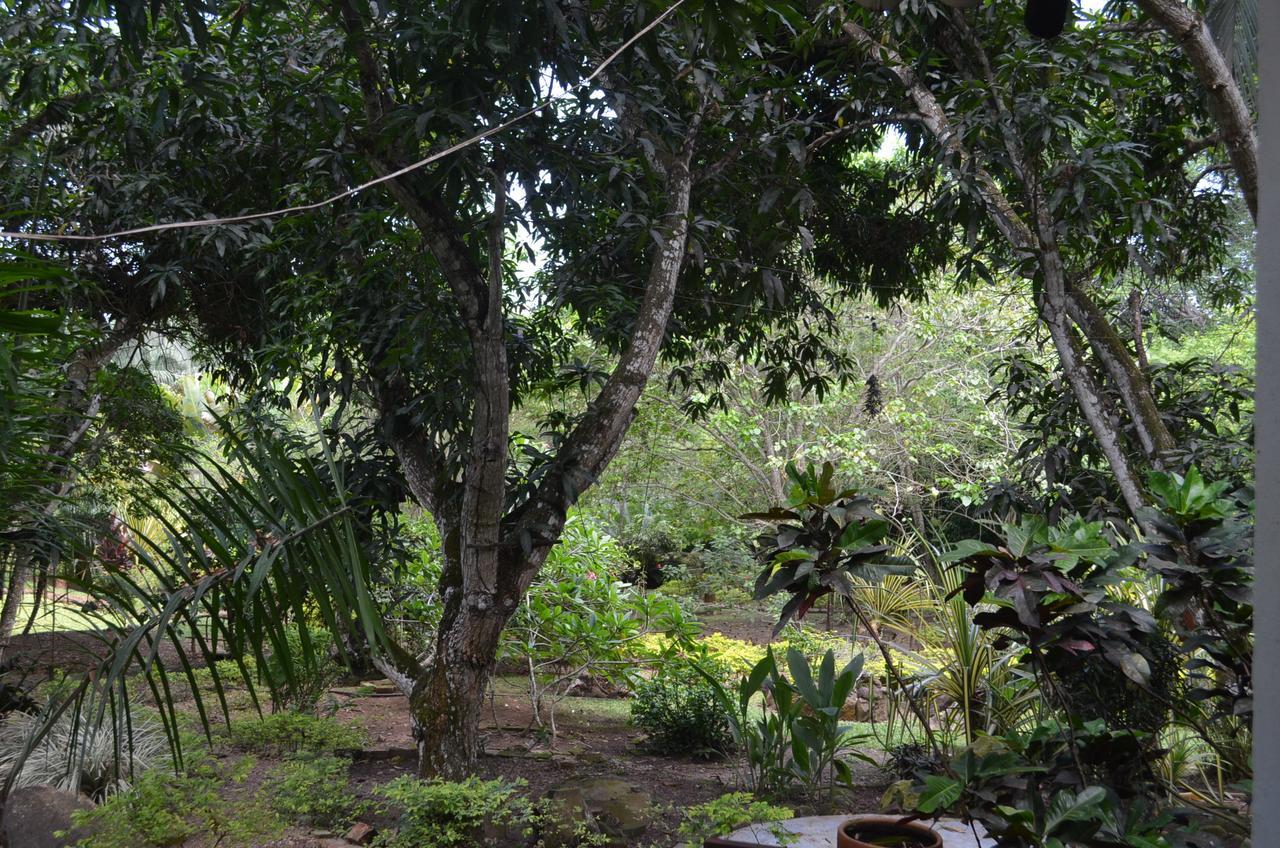 Amanwana Ecofinca Hotel