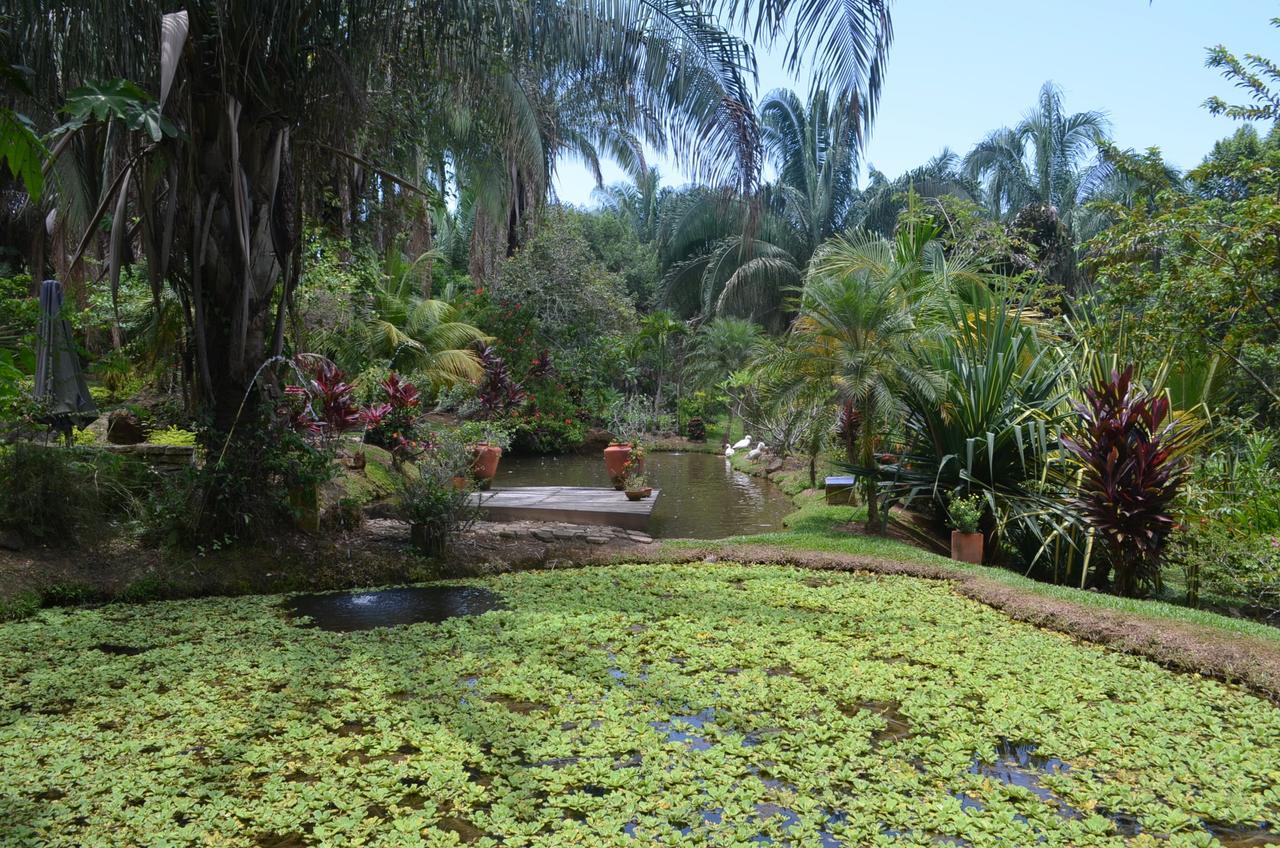 Hotel Amanwana Ecofinca