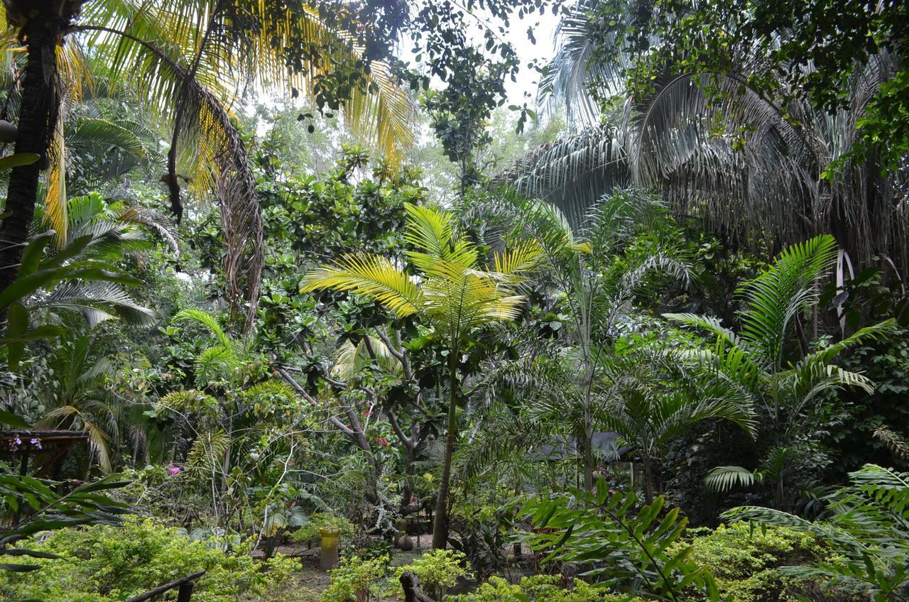 Hotel Amanwana Ecofinca