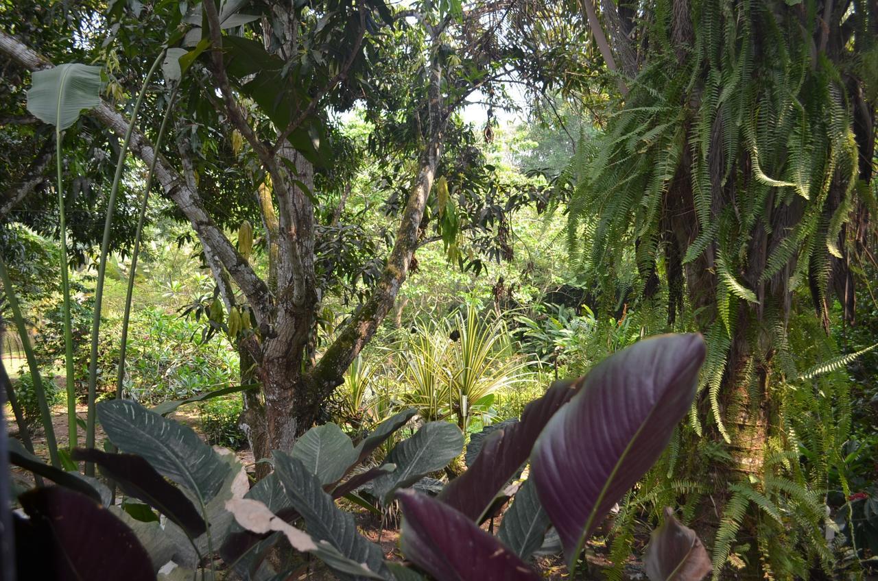 Amanwana Ecofinca Hotel 2*
