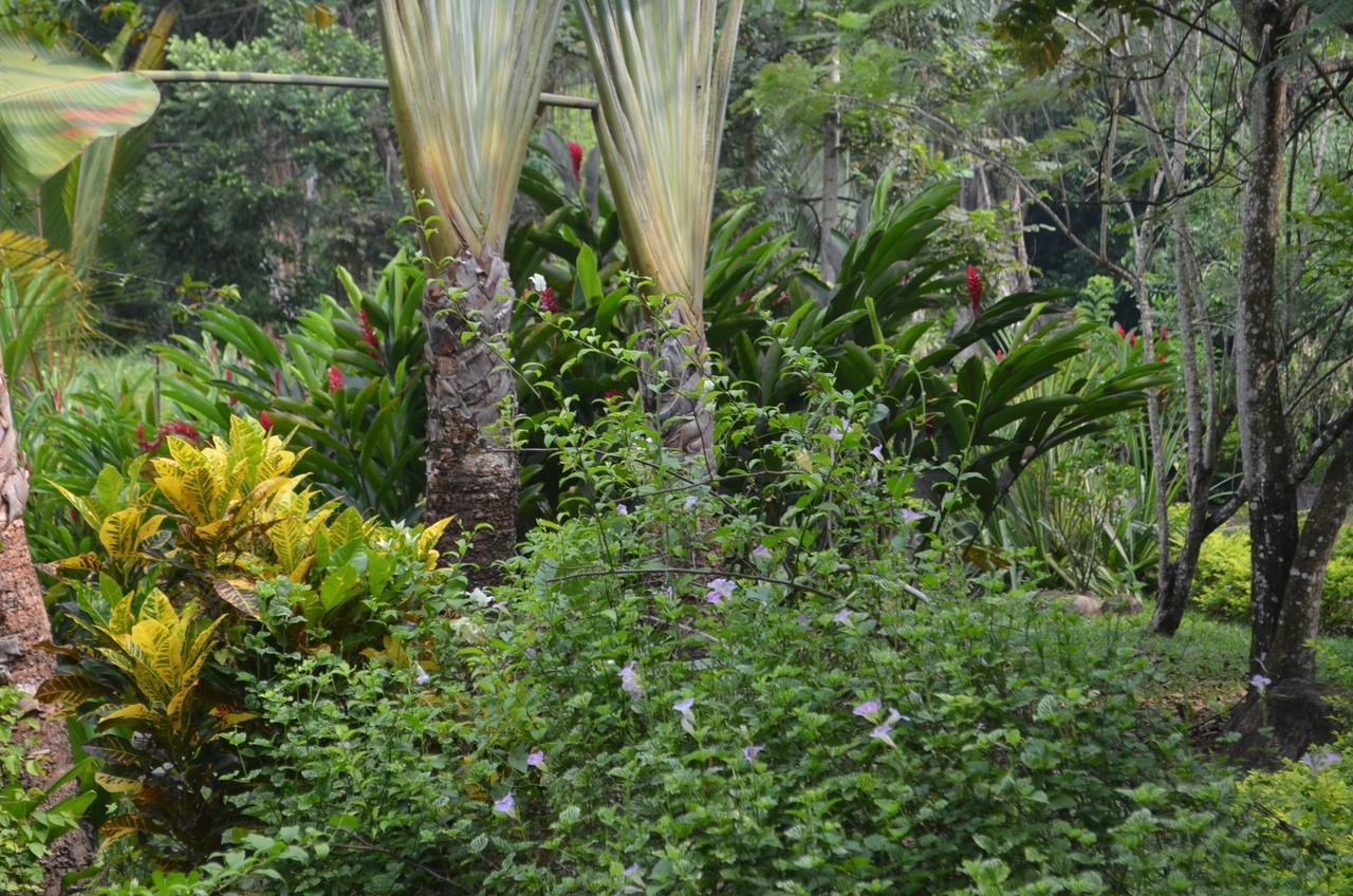 Amanwana Ecofinca Hotel