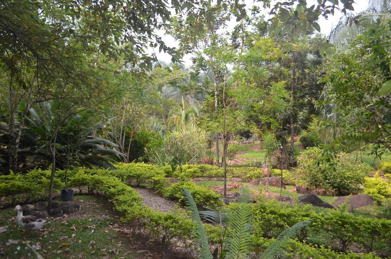 Amanwana Ecofinca Hotel Melgar