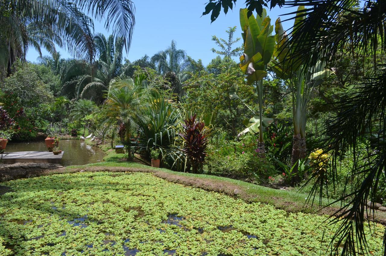 Amanwana Ecofinca 2*