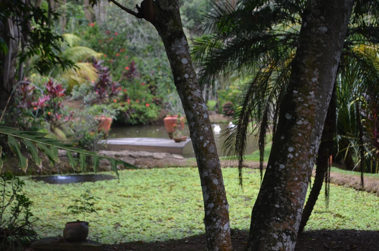 Amanwana Ecofinca Hotel 2*