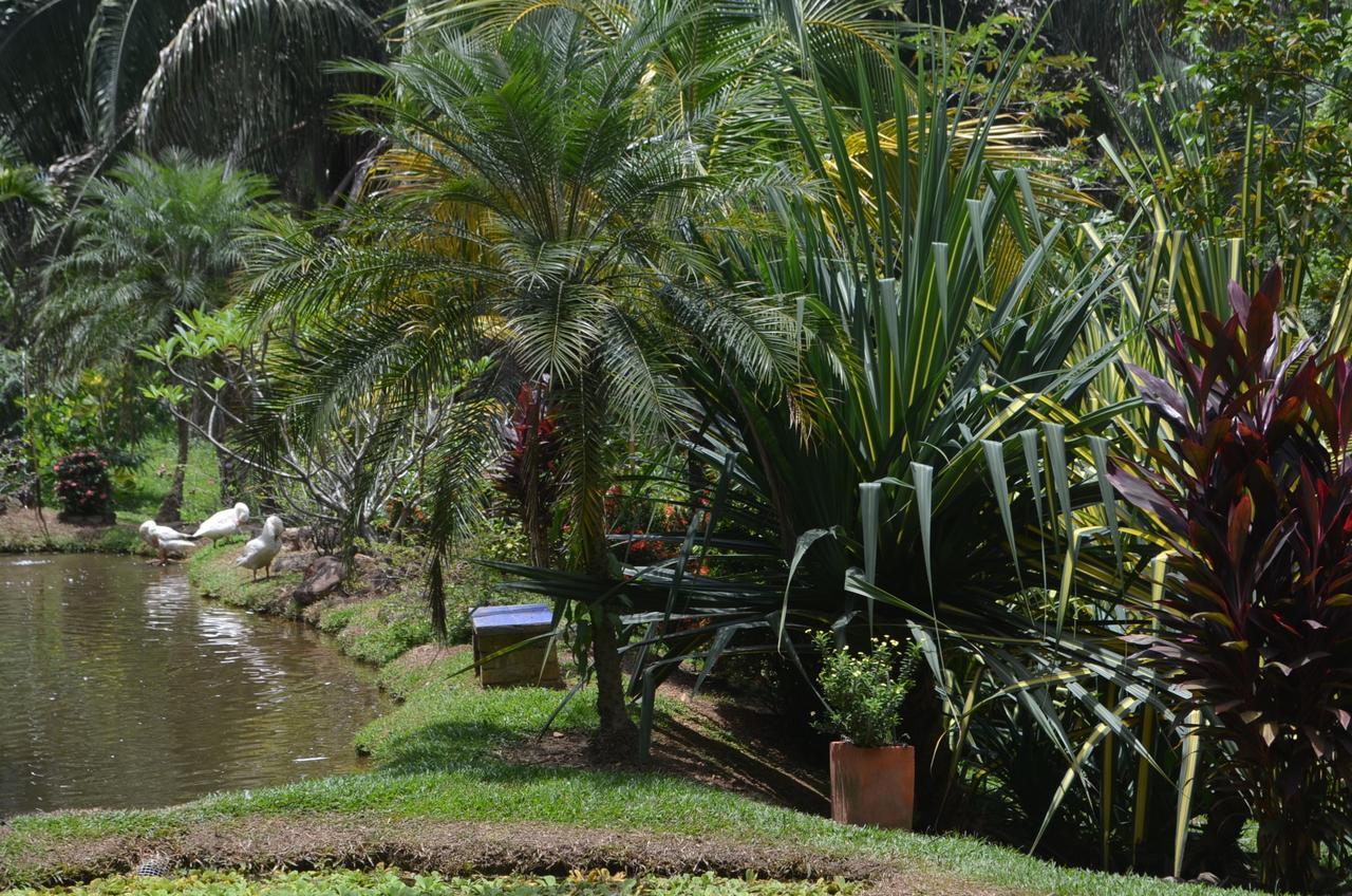 Amanwana Ecofinca Melgar