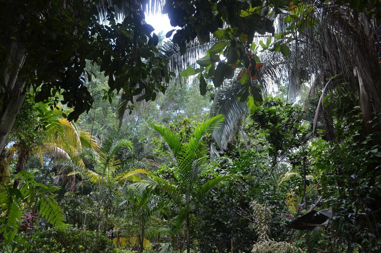 Amanwana Ecofinca Melgar