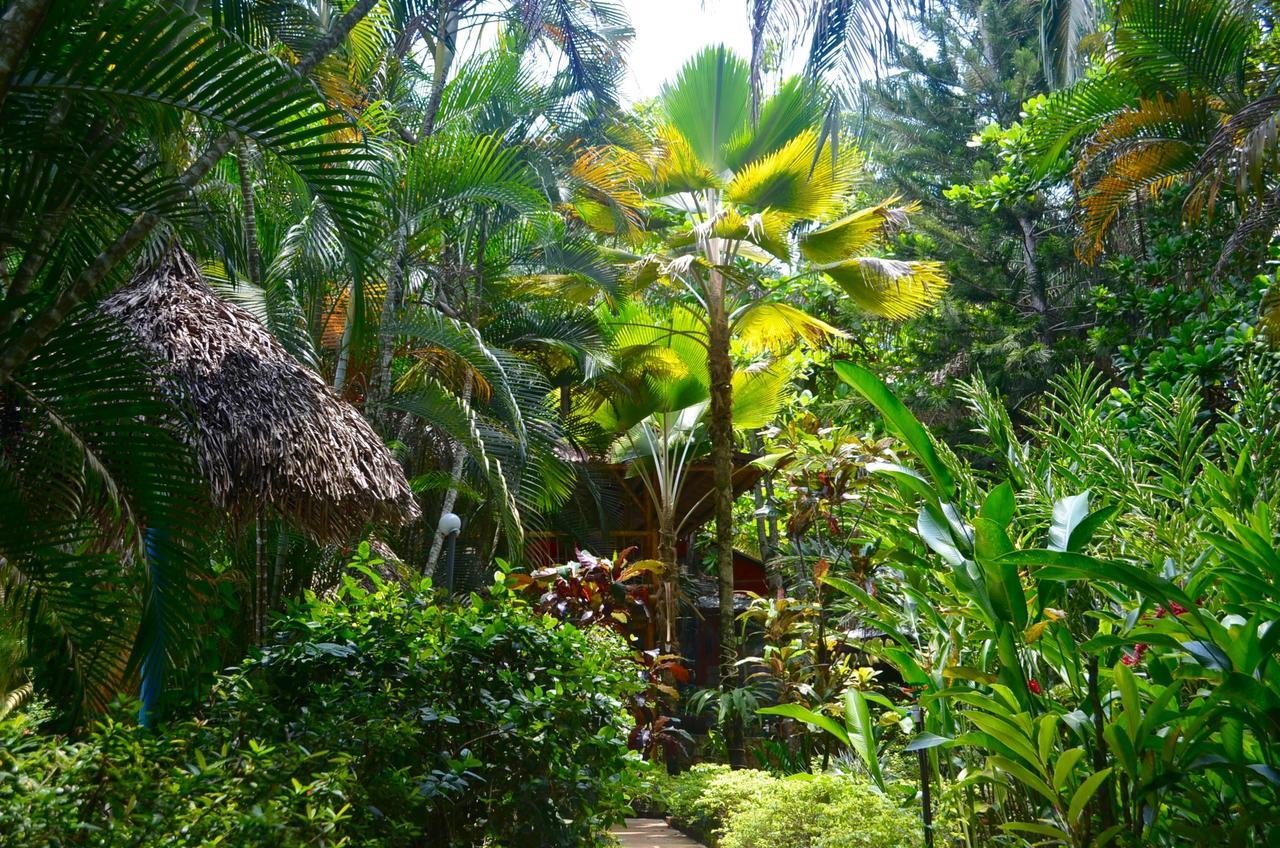 Amanwana Ecofinca 2*