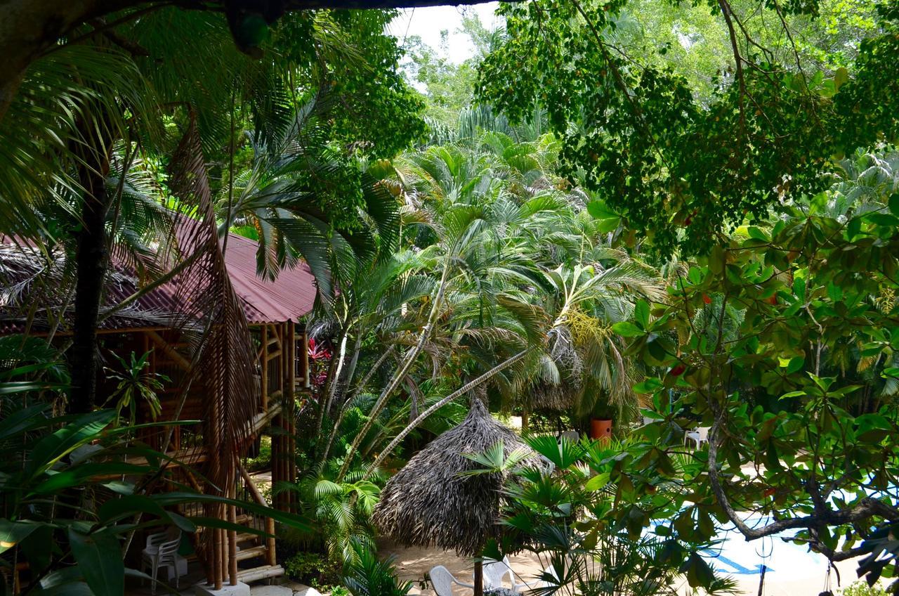 Amanwana Ecofinca Hotel 2*